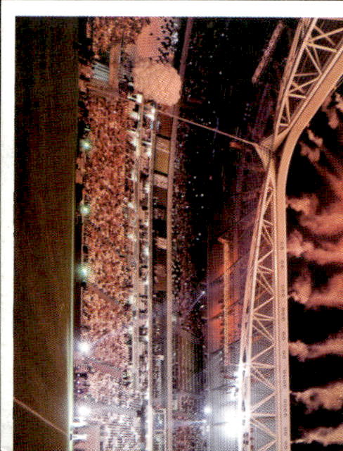 Figur ''Vorhangmenü'' Juventus Footprint 2011-2012 - Bild 138 von 369